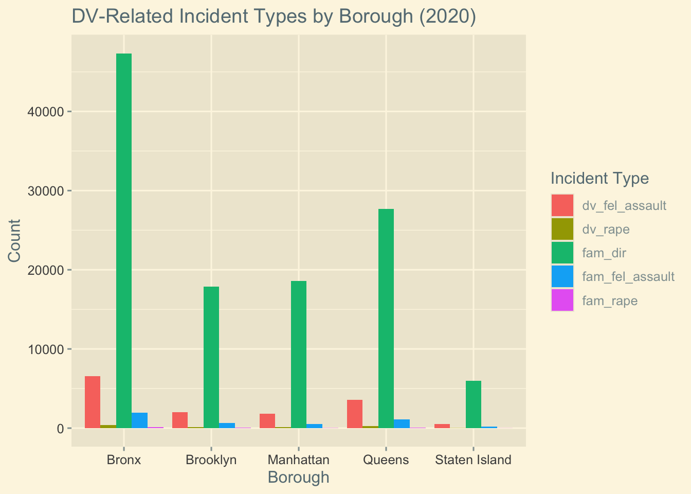 Grouped bar chart displaying counts of different domestic violence–related incident categories by borough. Family domestic incident reports dominate across all boroughs, with the Bronx showing consistently higher counts across most categories.